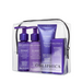 A travel kit containing four OBLIPHICA Seaberry hair care products for medium to coarse textures, including shampoo, conditioner, hair mask, and hair serum in TSA-approved bottles.